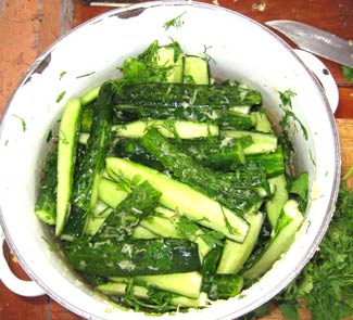 Рецепт салат из огурцов, чеснока и зелени (малосольные огурцы)