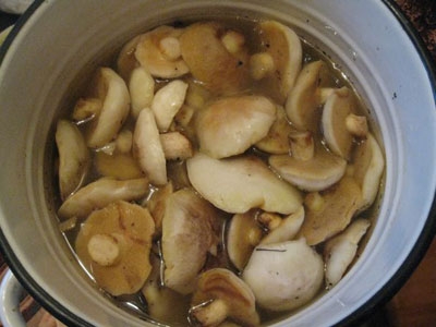 Как приготовить грибы маслята на зиму?