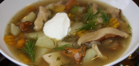 Суп с белыми свежими грибами. Рецепт приготовления легкого грибного супа.