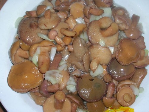 Грибы маслята - блюда грибные