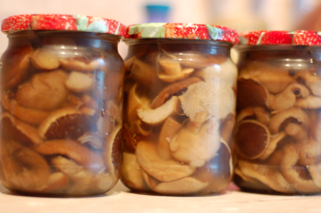 Как приготовить грибы маслята на зиму?