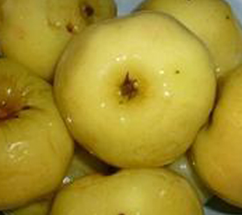Рецепт моченых яблок антоновка
